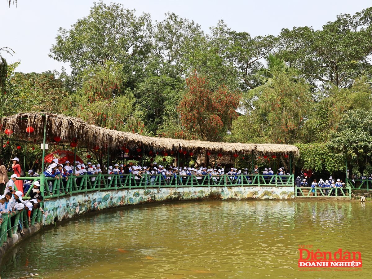 Du lịch Ảnh 3