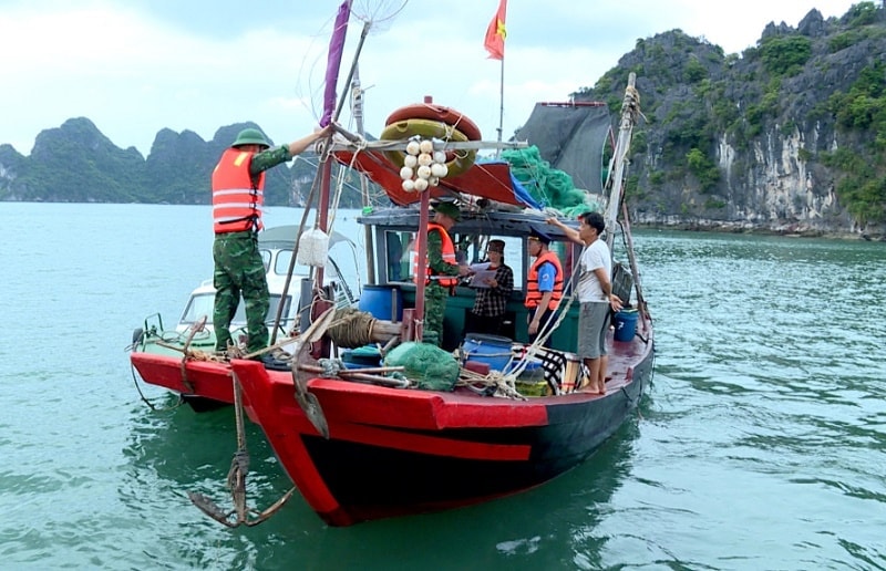 thevang.jpg