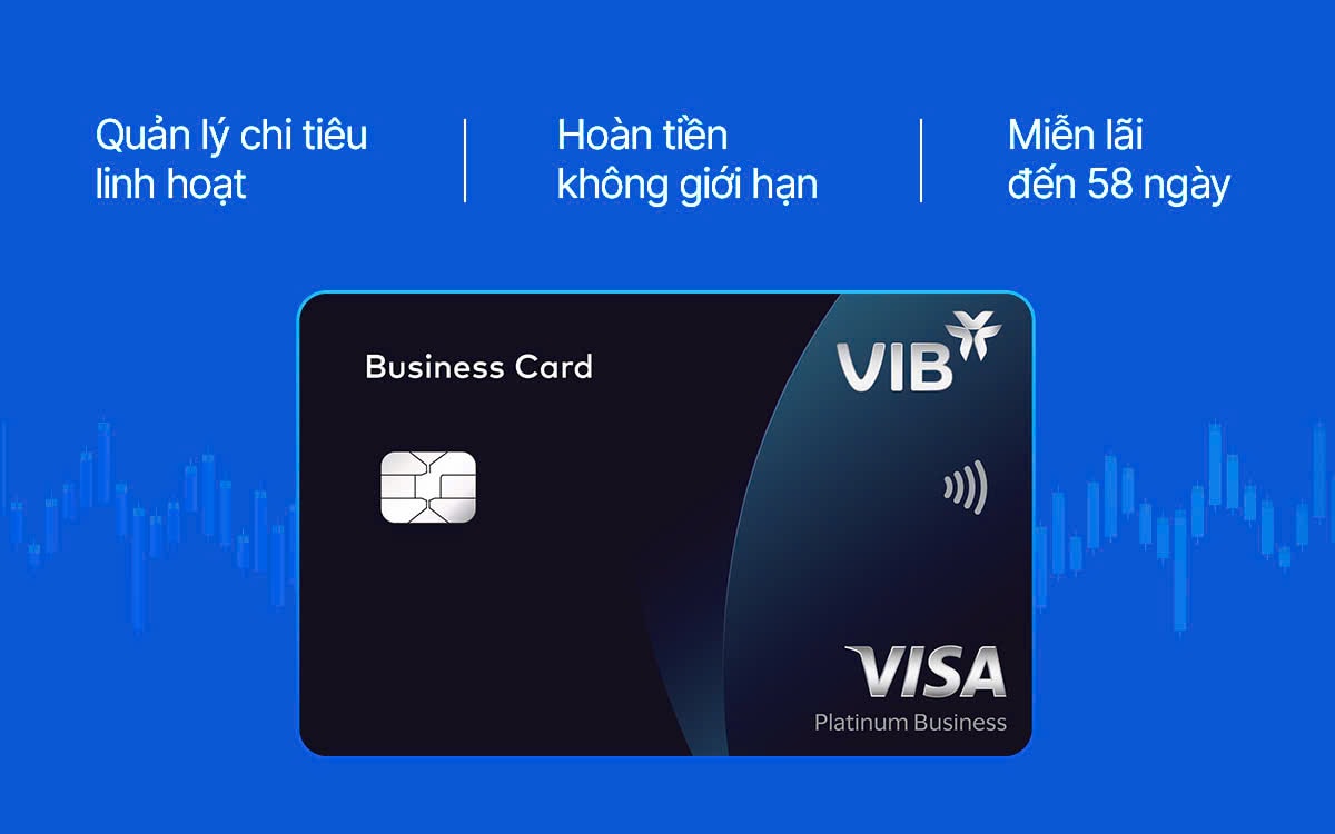 VIB 2