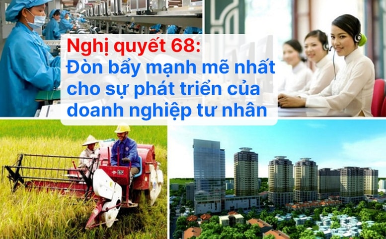 dongluc2.jpg