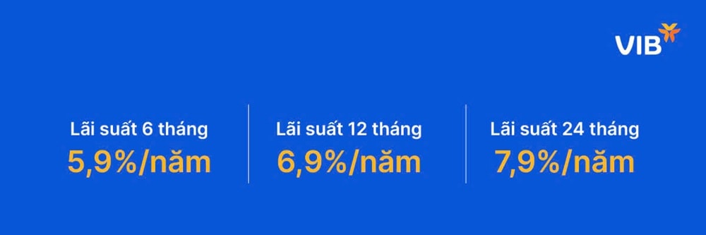 vay mua can ho 2
