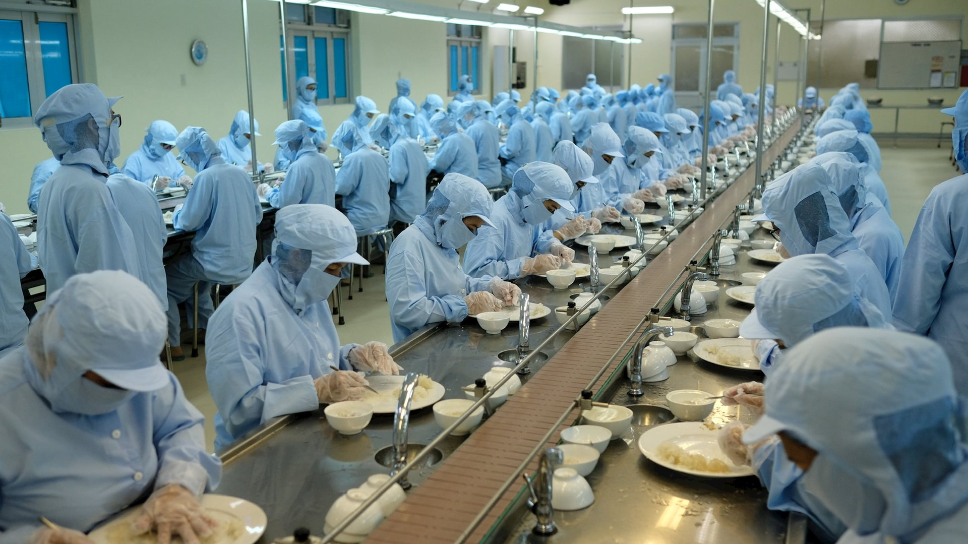 Tinh chế Yến sào đảo thiên nhiên Khánh Hoà