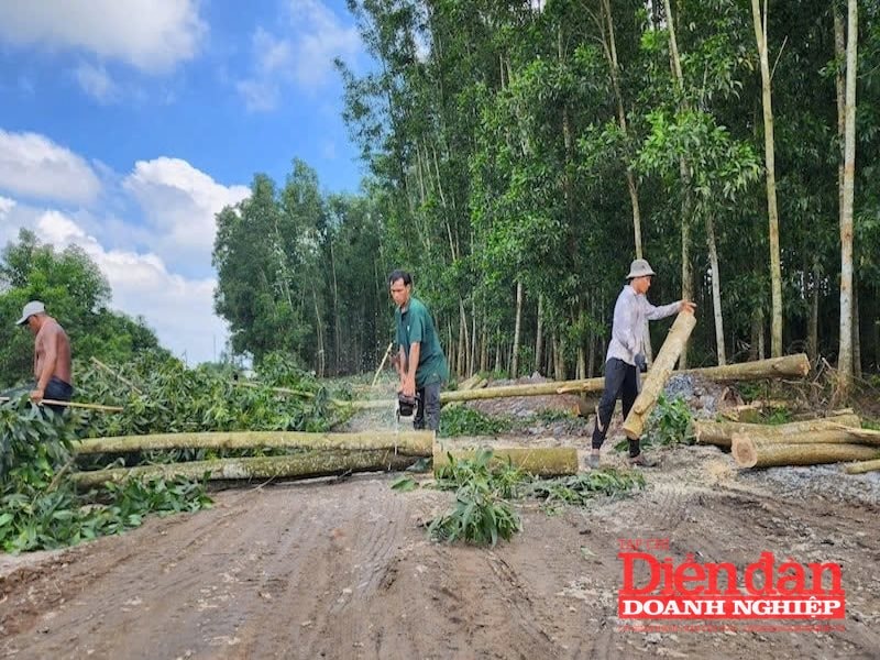 chuyển đổi đất
