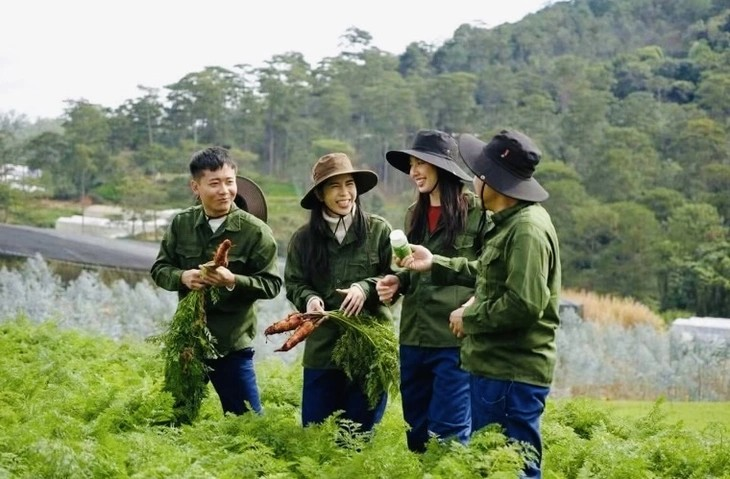 anh-hao-quang-va-goc-toi-cua-mot-loi-quang-cao-2.png