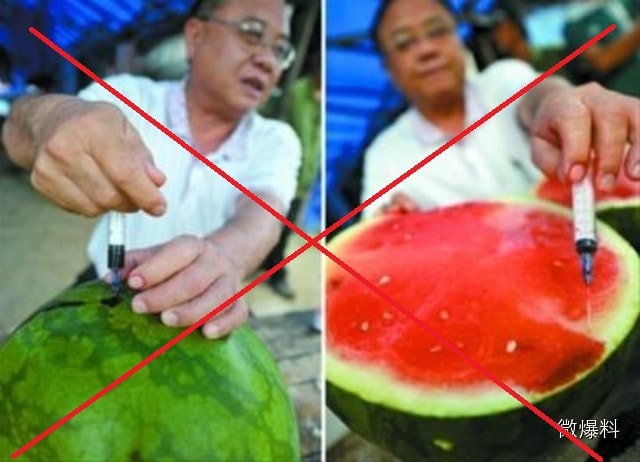 trung-that-vo-vi-tin-gia-2.jpg