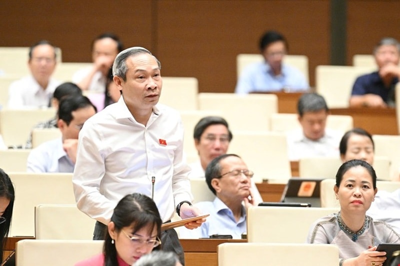 thao-luan-luat-doanh-nghiep-20.5.2.jpg