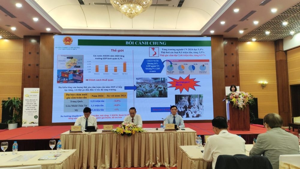 Phát triển ngành gia cầm Việt Nam theo chuỗi giá trị bền vững Phát triển ngành gia cầm Việt Nam theo chuỗi giá trị bền vững