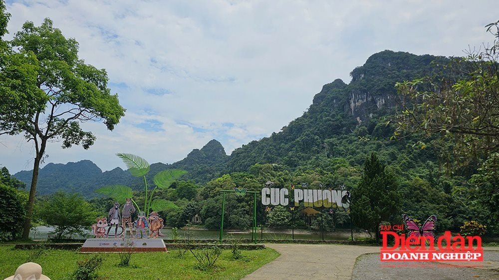 cucphuong2.jpg