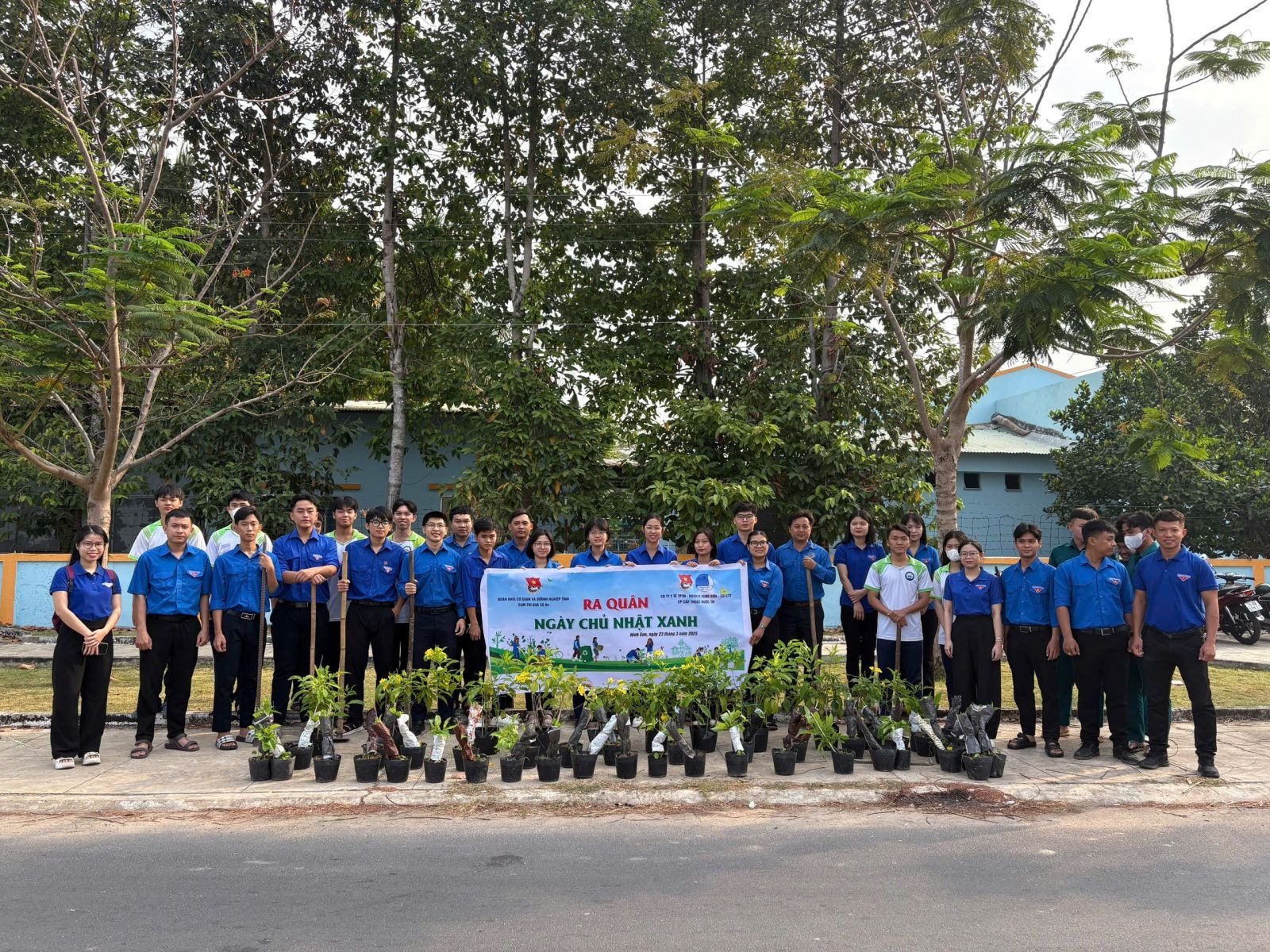 Chuẩn bị trồng cây xanh khu vực đường Sến Quỳ, khu phố Ninh Thành.