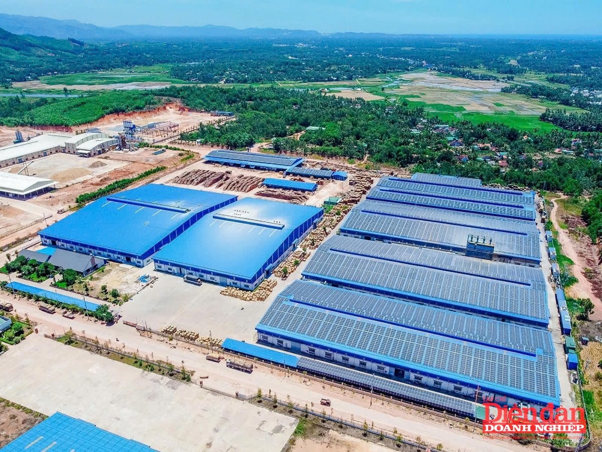 KCNBinhDinh (2)