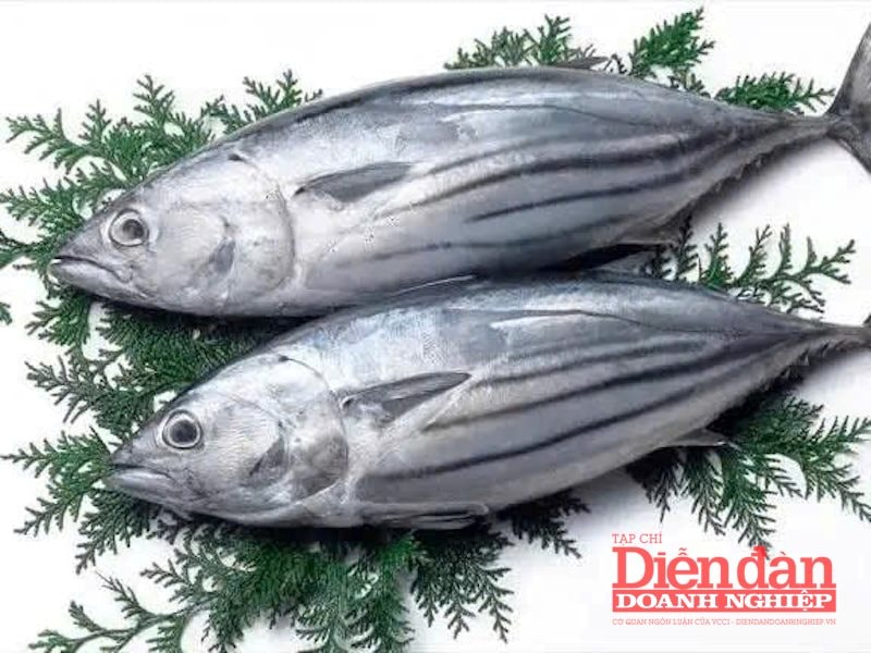 Hình cá ngừ vằn
