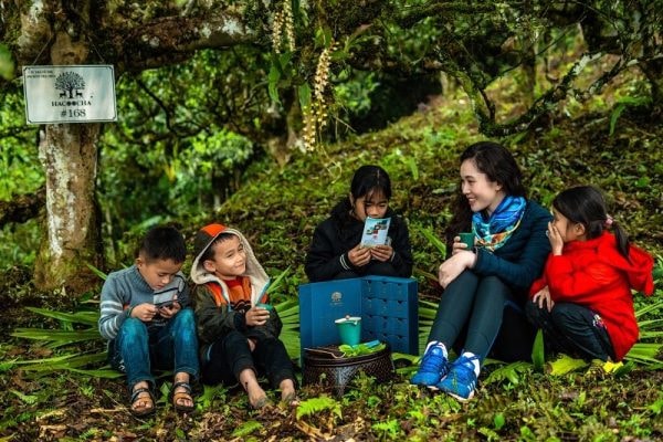 HÀ GIANG – MIỀN ĐẤT CỦA TRÀ SHAN TUYẾT DI SẢN HACOOCHA