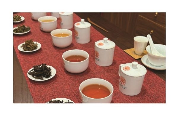 HÀ GIANG – MIỀN ĐẤT CỦA TRÀ SHAN TUYẾT DI SẢN HACOOCHA