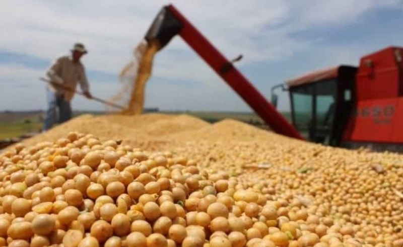 Doanh nghiệp Việt Nam ký loạt thỏa thuận ghi nhớ trị giá gần 3 tỉ USD để mua các loại nông sản Mỹ như ngô, đậu tương, thịt...