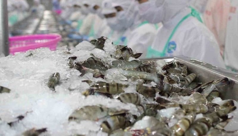 Doanh nghiệp quan ngại về mức thuế chống bán phá giá cao khó hiểu với tôm Việt Doanh nghiệp quan ngại về mức thuế chống bán phá giá cao khó hiểu với tôm Việt