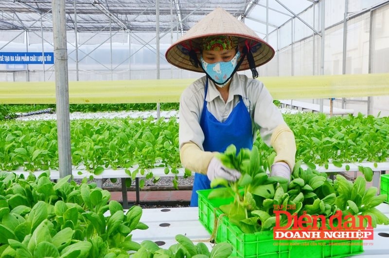 mien-thue-su-dung-dat-nong-nghiep-12.6.2.jpg