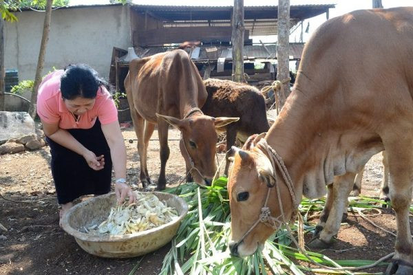 Đắk Nông đưa chính sách dân tộc tôn giáo của Đảng, Nhà nước đi vào cuộc sống