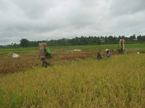 Đắk Nông đưa chính sách dân tộc tôn giáo của Đảng, Nhà nước đi vào cuộc sống