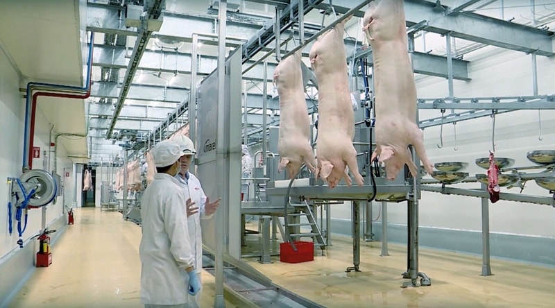 2. Dây chuyền sản xuất thịt ủ mát MEATDeli do Marel - công ty hàng đầu thế giới về thiết bị giết mổ, chế biến thịt của Hà Lan cung cấp - Copy