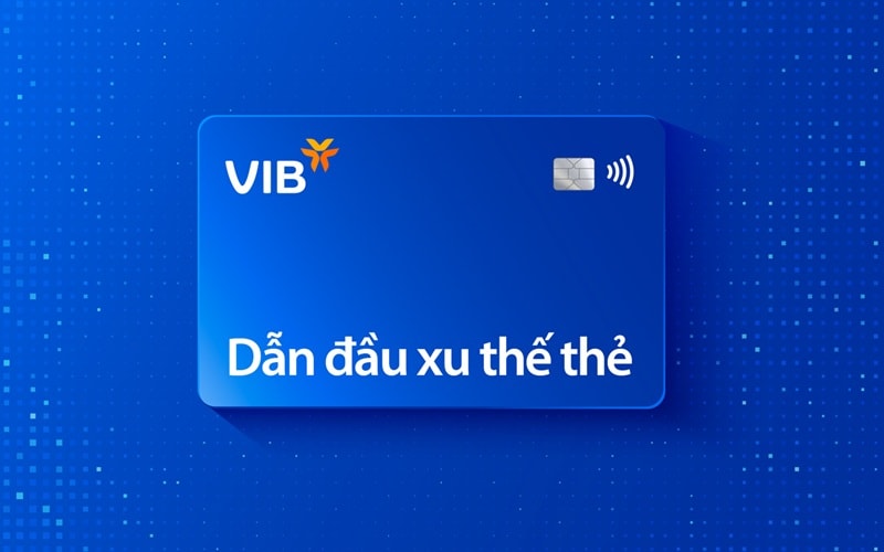 vibf2.jpg