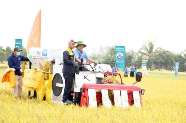 An Giang: Nhiều kết quả tích cực từ Đề án phát triển 1 triệu héc-ta chuyên canh lúa chất lượng cao