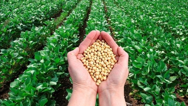 Kết nối và phát triển nông nghiệp bền vững Việt Nam - Hoa Kỳ