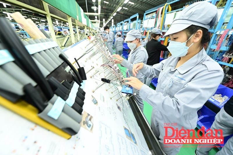 bo-sung-quy-dinh-chu-so-huu-huong-loi-21.6.2.jpg