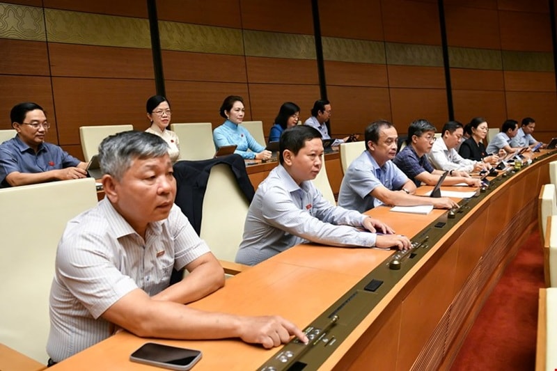 luat-toa-an-nhan-dan-24.6.2.jpg