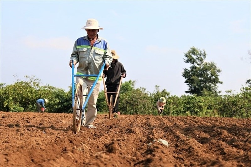 mien-thue-su-dung-dat-nong-nghiep-den-nam-2030-25.6.2.jpg
