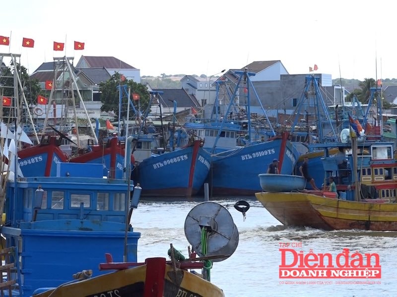 hình iuu 4