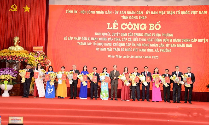 qp11.jpg