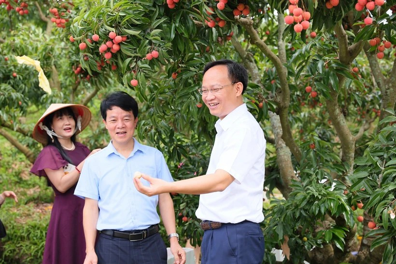 tu-mot-phien-livestream-den-khat-vong-chinh-quyen-kien-tao-1.png