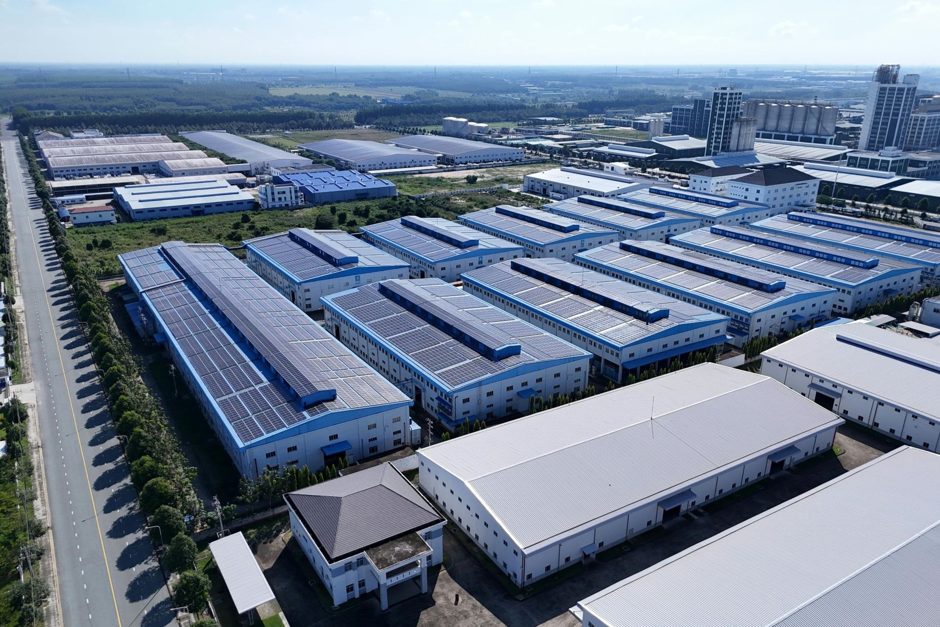 Hình 1 nguồn Pexels (1)
