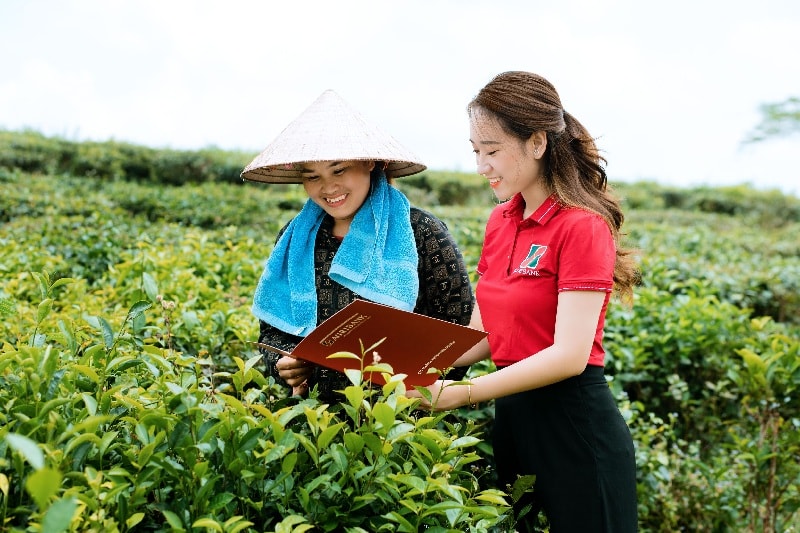 Tin dung xanh 1