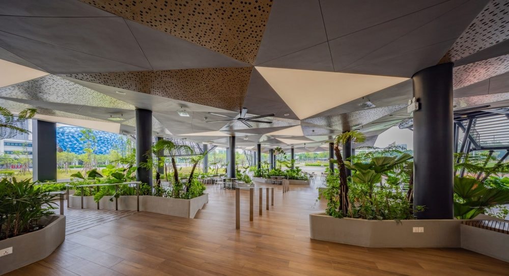 “Xanh hóa” đại học: Tại sao nhiều trường vẫn ngại bước chân vào công cuộc chuyển đổi tốn kém?