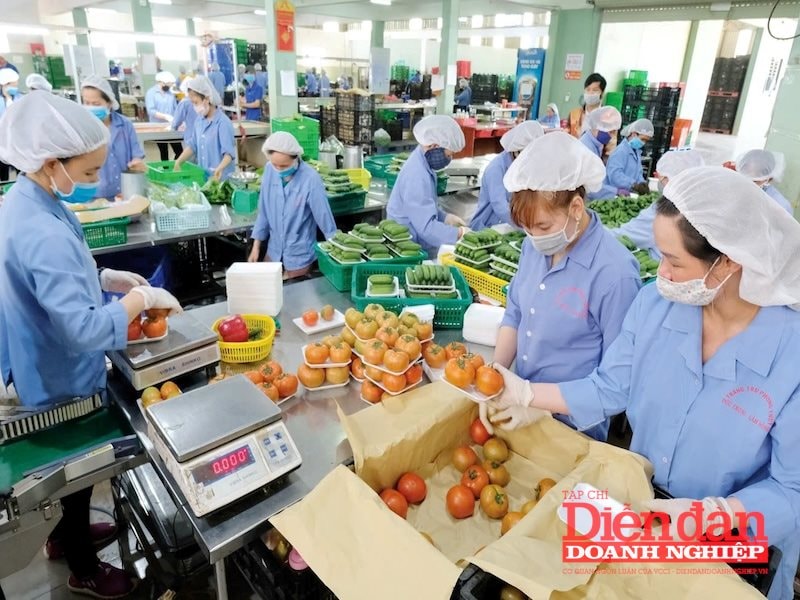 Nông nghiệp- xuất khẩu lâm đồng