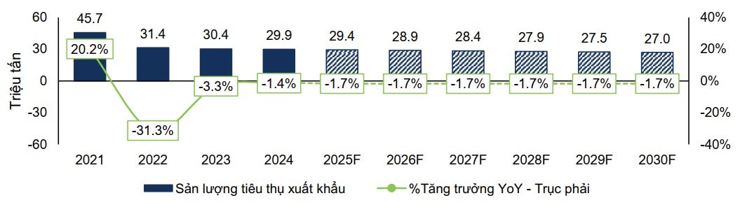 Dự phóng sản lượng xuất khẩu giai đoạn 2021 – 2030F. Nguồn: VNCA, FPTS Tổng hợp và ước tính.