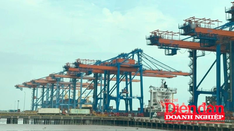 Hoạt động sản xuất, kinh doanh tại khu vực Cảng Nam Đình Vũ