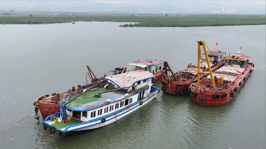Tau Vinh Xanh