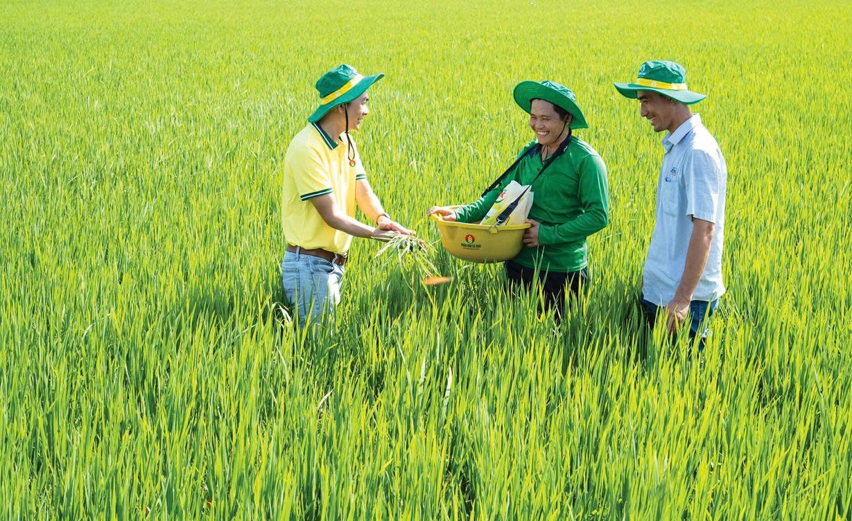 PVCFC nâng tầm giá trị thương hiệu