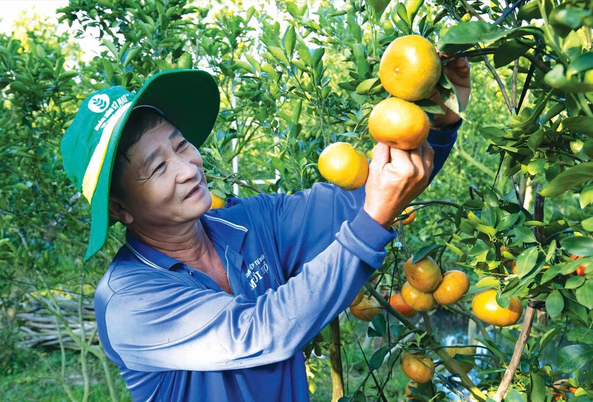 PVCFC với Nền tảng vững bền - Khát vọng lớn mạnh - Nhanh hơn, hiệu quả hơn