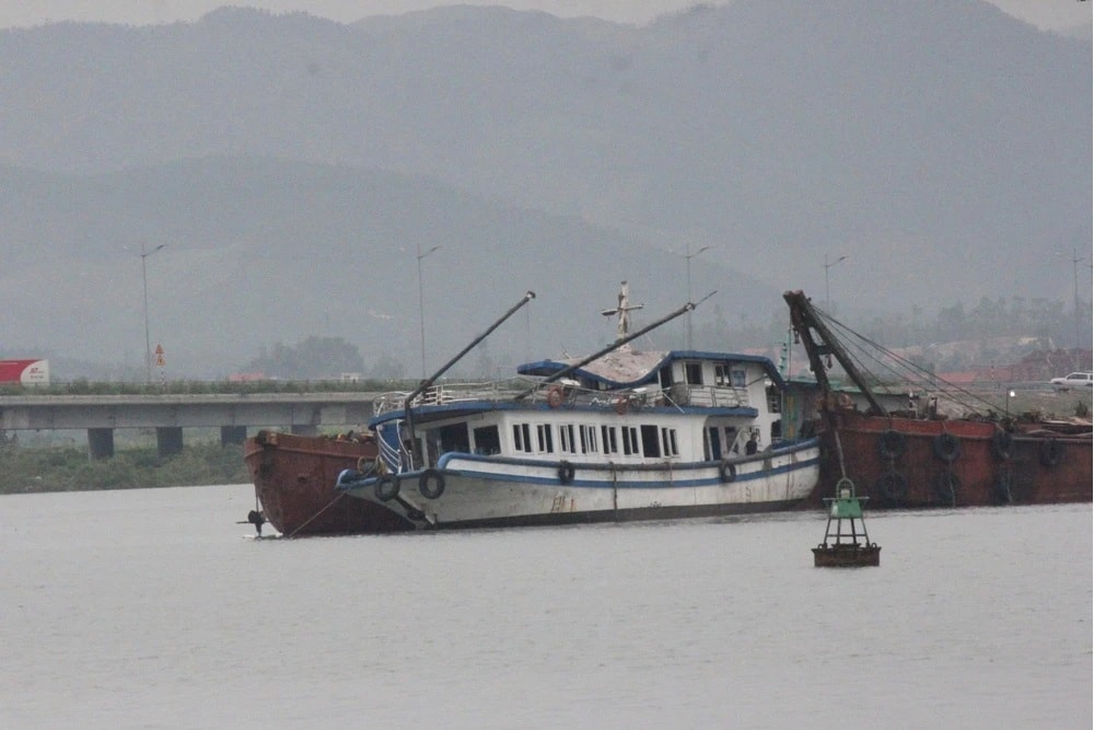TTXVN tau Vịnh xanh