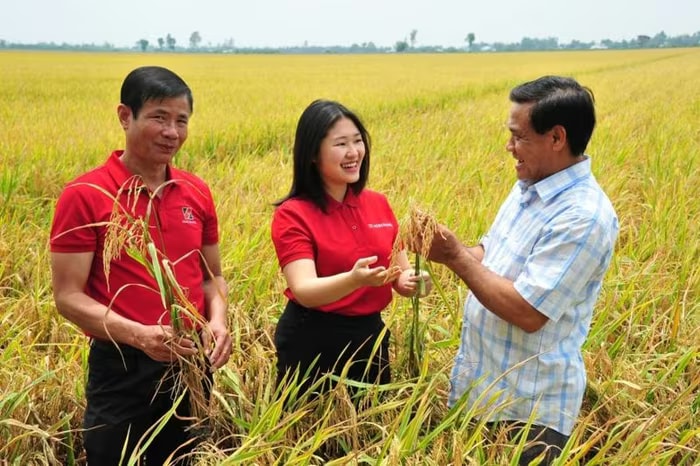 Agribank là ngân hàng chủ lực trong cấp tín dụng cho lĩnh vực nông nghiệp, nông thôn