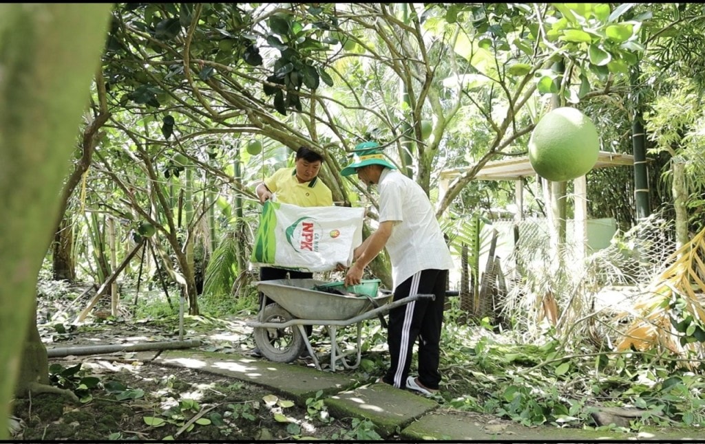 Cán bộ kỹ thuật PBCM luôn đồng hành cùng bà con trong từng giai đoạn phát triển của vườn cây