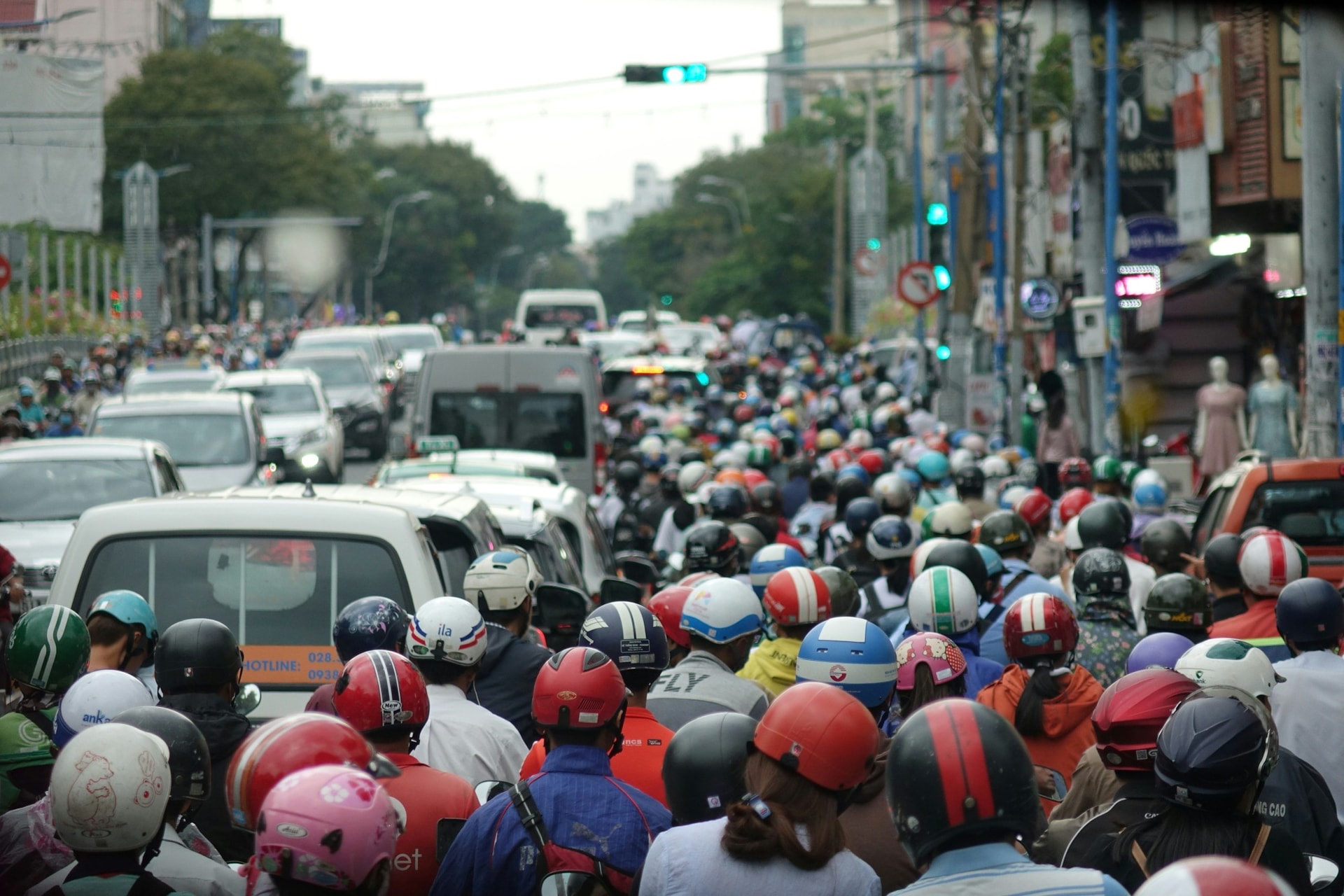 Hình 1 nguồn Unsplash