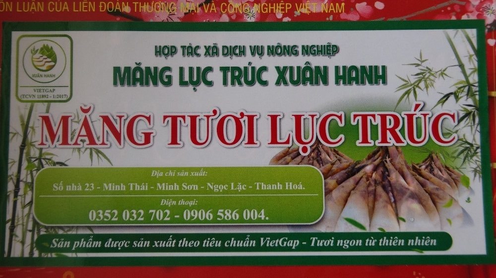 HTX DVNN Măng Lục Trúc Xuân Hanh – Hành trình biến những đồi keo thành đồi “đất vàng”