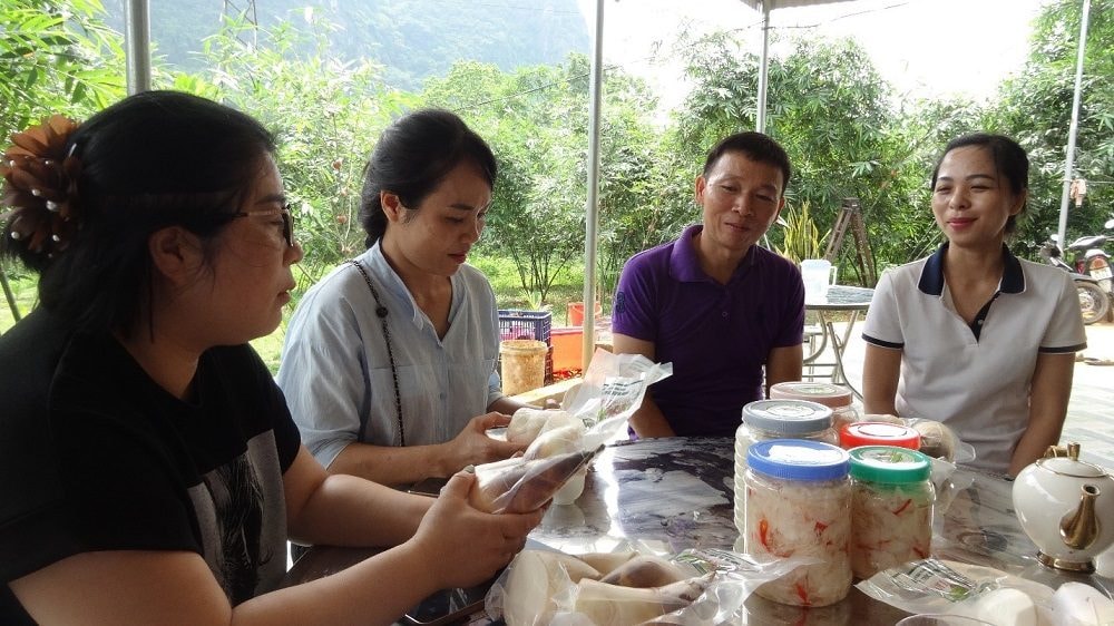 HTX DVNN Măng Lục Trúc Xuân Hanh – Hành trình biến những đồi keo thành đồi “đất vàng”