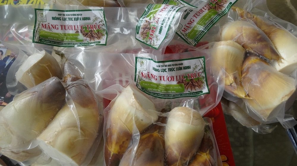 HTX DVNN Măng Lục Trúc Xuân Hanh – Hành trình biến những đồi keo thành đồi “đất vàng”