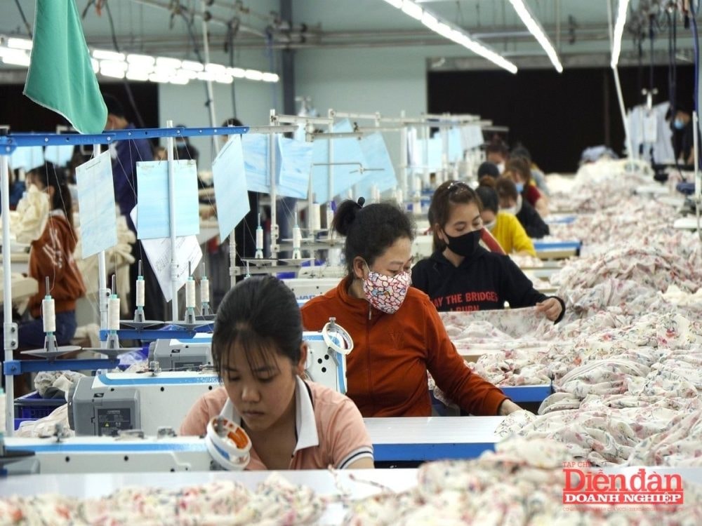 174.000 doanh nghiệp gia nhập thị trường, tín hiệu phục hồi rõ nét