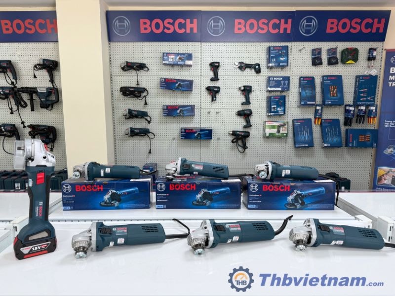 may-mai-bosch-2.jpg